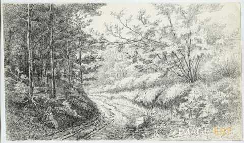 Chemin de forêt (Maxéville)